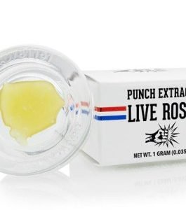 Punch Extracts Live Rosin